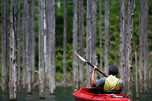 自然湖ネイチャーカヌーツアー